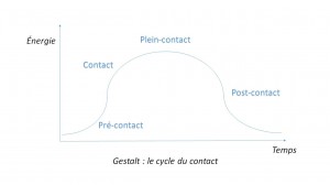 cycle du contact