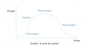 cycle du contact